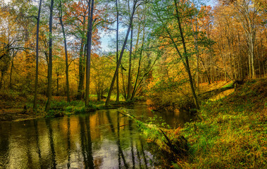 Jesień nad rzeką Łyną.