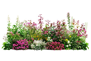 Flowerbed with different blooming plants and flowers .isolated on white background