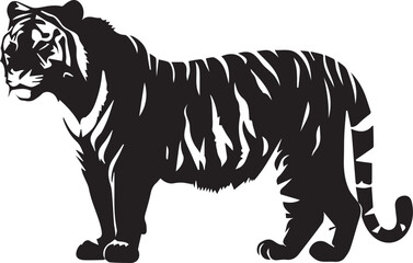 black and white tiger