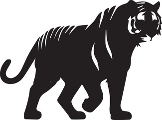 silhouette tiger walking