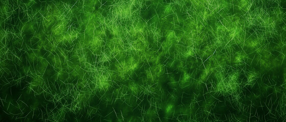 Green grass texture. Modern simple wallpaper. Blur green grass wallpaper HD.