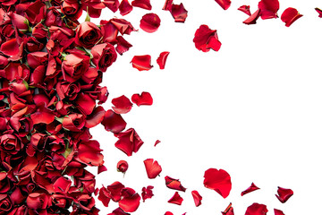 Red Rose Petals on Transparent Background. PNG