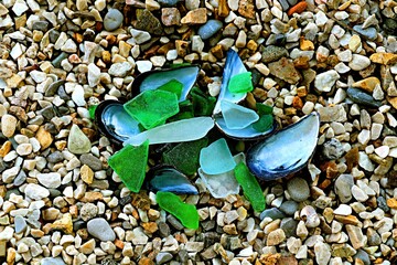 Shards of glass bottles rolled around by the sea and mussel shells on a pebble beach
