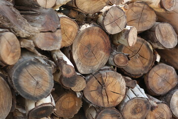 A huge amount of wood for ignition.
