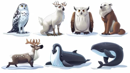 Fototapete Polar bear, owl, winter reindeer and whale cute modern characters. Arctic polar cartoon wildlife collection isolated on white background. Alaska deer for northeast zoo. © Mark