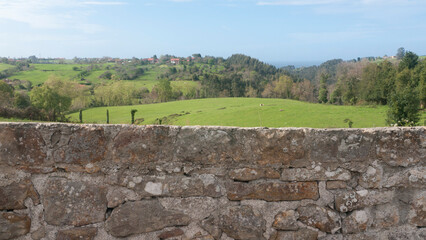 Muro rústico de piedra delante de dehesa de pastos verdes