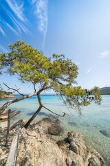 Beautiful Notre Dame beach (Plage Notre-Dame) on Porquerolles island (l'île de Porquerolles), France