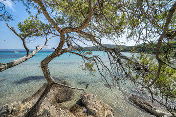 Beautiful Notre Dame beach (Plage Notre-Dame) on Porquerolles island (l'île de Porquerolles), France