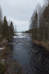 Rushing Kuomanjoki river and spring forest on the shore and lake Kuivasjärvi in the background, Suomussalmi, Finland.