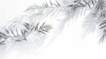 Palm branches silhouettes with sunny shadows on white background in double exposure