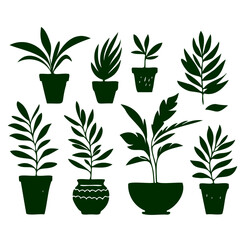 A set potted plants in various sizes and shapes, all green. plants are arranged in row, with some taller and some shorter. Scene is calm and peaceful, as the plants are all neatly arranged