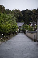 福岡県 / 太宰府天満宮