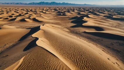 Aerial view of desert landscape with vast dunes and sparse vegetation. - obrazy, fototapety, plakaty