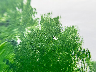 green brush strokes on canvas close up