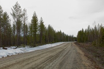 Obraz premium Gravel Lehtovaarantie road in forest in cloudy spring weather, Lehtovaara, Suomussalmi, Finland.