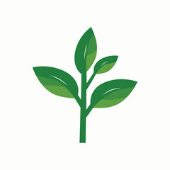 green plant