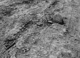 Unearthing the Past. Military Boot Buried in Time . Exploring War History and Archaeology. Foot print shoe. Pattern and texture. Black and white, monochrome, detail.