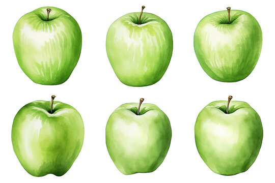 Set of green apples watercolor isolated