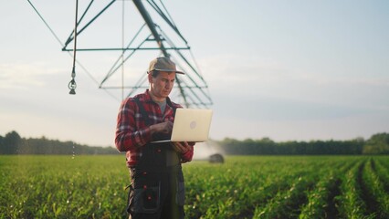 corn agriculture. a male farmer works on a laptop in a field with green corn sprouts. corn is watered by irrigation machine sunlight. irrigation agriculture business concept