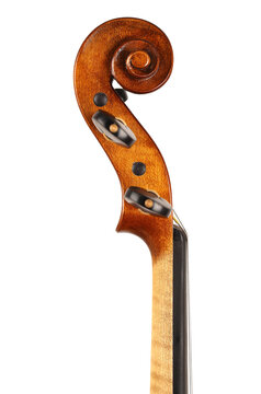 violino
