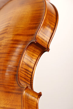 violino
