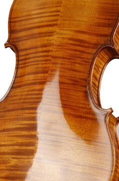 violino
