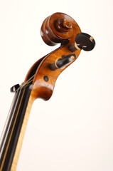 violino

