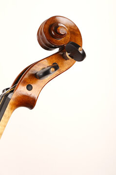 violino
