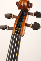 violino
