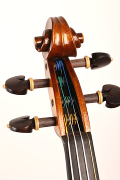 violino
