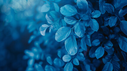 A close up of a leafy plant with a blue hue