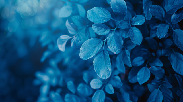 A close up of a leafy plant with a blue hue