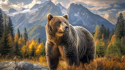 Foto op Aluminium Big grizzly bear portrait in the mountains with forest and cliff background. © Barosanu
