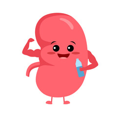 Happy cute smiling healthy kidney cartoon character show muscle biceps healthy strong kidneys organ and holding water bottle.