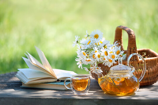 glass teapot and cup with herbal tea, Chamomile flowers in basket, books on table in garden. Summer nature background. relax, reading time. useful calming tea. tea party