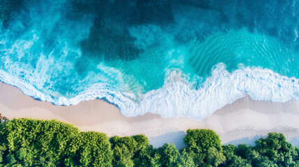 Aerial view of serene beach with lush foliage and turquoise waters - obrazy, fototapety, plakaty