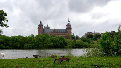 Geese in a meadow overlooking a castle with a river and cloudy sky - 786217184