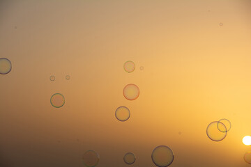 Lots of soap bubbles in the sky at sunset - 786218118