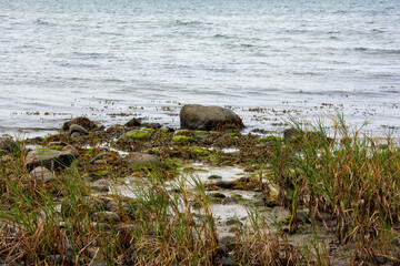 Big stones in the waves on a coast with green grass - 786218551