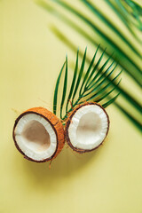 Broken coconut and palm leaf on a light yellow background.