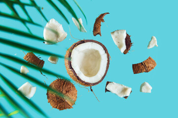 Broken coconut and palm leaf on a blue background. - 786219567