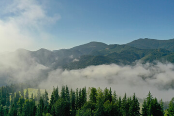 Aerial view of beautiful landscape with misty forest in mountains