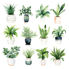 Fototapeta na wymiar Set of Pot green plants watercolor hand drawn home decoration