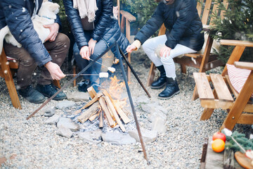 Friends in warm clothes roasting marshmallows on sticks and chatting while sitting around campfire
