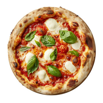 Pizza napolitana de tomate, queso mozzarella y decorada con hojas de albahaca frescas, sobre fondo blanco transparente