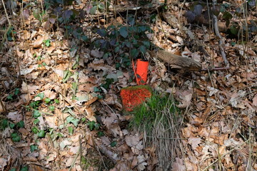 FU 2023-02-20 HennMerten 116 Auf dem Waldboden ist eine orangene Markierung