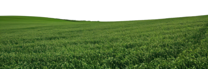 PNG Green field sky landscape outdoors