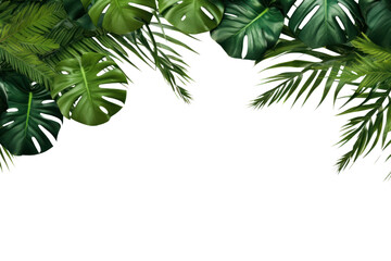PNG tropical leaf border, transparent background