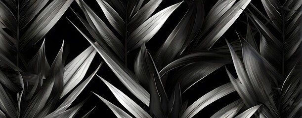 black tropical leaves on dark background. Best as web banner