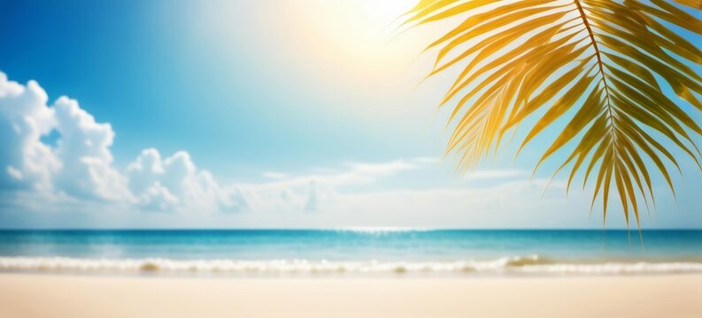 A beautiful beach scene with a palm tree in foreground